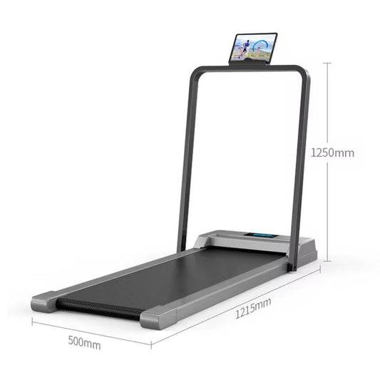 Le WalkingPad 2-en-1